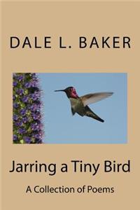 Jarring a Tiny Bird: A Collection of Poems