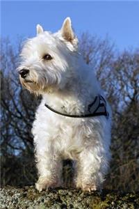 Adorable White West Highland Terrier on the Bed Journal