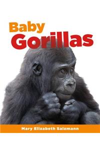 Baby Gorillas