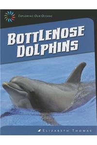 Bottlenose Dolphins