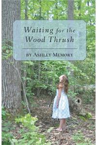 Waiting for the Wood Thrush