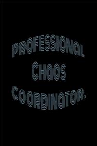 Professional Chaos Coordinator.
