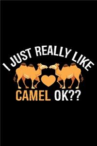 I Just Really Like Camel Ok
