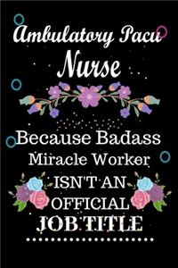 Ambulatory Pacu Nurse Because Badass Miracle Worker Isn't an Official Job Title