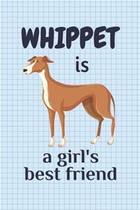 Whippet is a girl's best friend