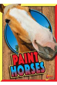 Paint Horses