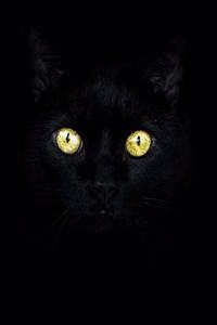 Black Paper Sketch Book