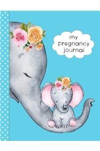 My Pregnancy Journal: Keepsake Organizer & Planner To Document Your Journey, With 40 Week Meal Planner