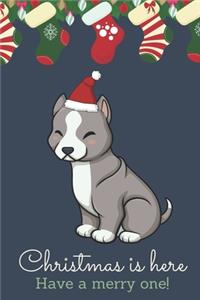 Christmas Is Here Have A Merry One
