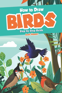 How to Draw Birds Step-by-Step Guide