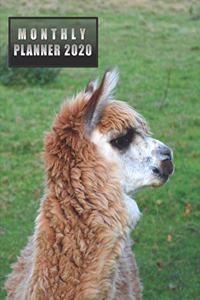 Monthly Planner 2020: NOTEBOOK + CALENDAR NOTEPAD / Diary / Agenda / Logbook: year at glance + 2 - page monthly layout + notes pages, large size (cute llama on a cover)