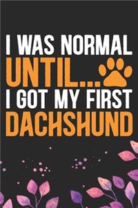 I Was Normal Until I Got My First Dachshund