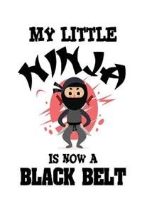 My Little Ninja Is Now a Black Belt