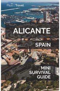 Alicante Mini Survival Guide