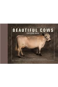 Beautiful Cows Postcard Book
