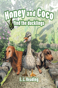 Honey and Coco find the ducklings