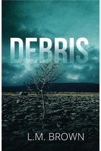 Debris