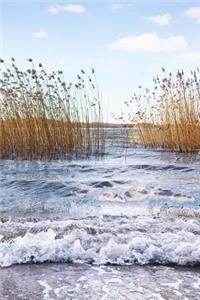 Tall Reeds and Waves at the Beach Nature Journal
