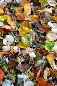 Multicolored Autumn Leaves Journal