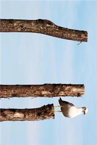Seagull Perched on a Post in the Water Journal
