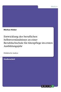 Entwicklung des beruflichen Selbstverständnisses an einer Berufsfachschule für Altenpflege im ersten Ausbildungsjahr