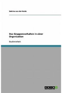 Das Gruppenverhalten in einer Organisation