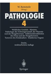 Pathologie 4