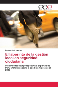 El laberinto de la gestión local en seguridad ciudadana