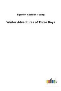 Winter Adventures of Three Boys