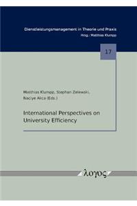 International Perspectives on University Efficiency