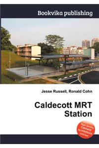 Caldecott Mrt Station