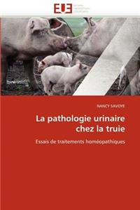 Pathologie Urinaire Chez La Truie