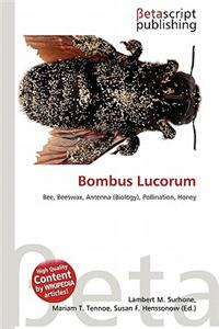 Bombus Lucorum