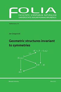 Geometric Structures Invariant to Symmetries