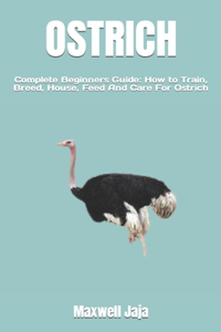 Ostrich