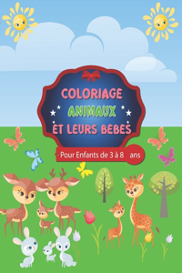 Coloriage des animaux et leurs bébés