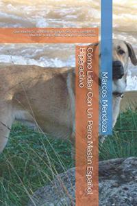 Cómo Lidiar Con Un Perro Mastín Español Hiperactivo