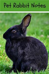 Pet Rabbit Notes