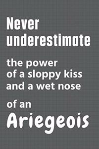 Never underestimate the power of a sloppy kiss and a wet nose of an Ariegeois