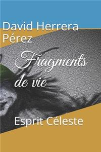 Fragments de vie