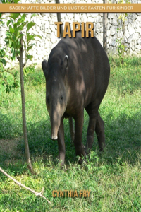 Tapir