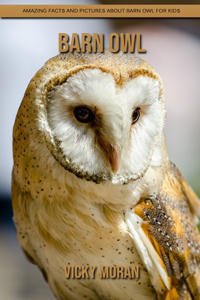 Barn Owl