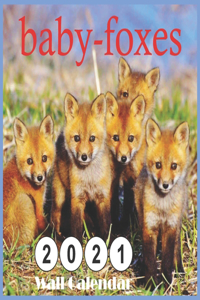 2021 baby-foxes