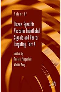 Tissue-Specific Vascular Endothelial Signals and Vector Targeting, Part a