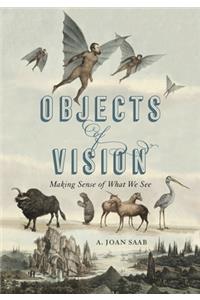 Objects of Vision