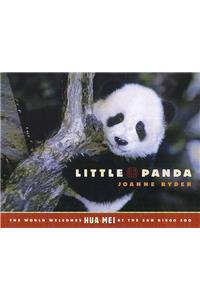 Little Panda