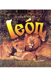 El Ciclo de Vida del León (the Life Cycle of a Lion)