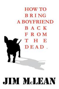 How to Bring a Boyfriend Back from the Dead