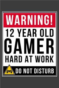 Warning 12 Year Old Gamer Hard At Work Do Not Disturb