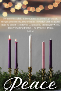 Advent Bulletin: Peace (Package of 100)
